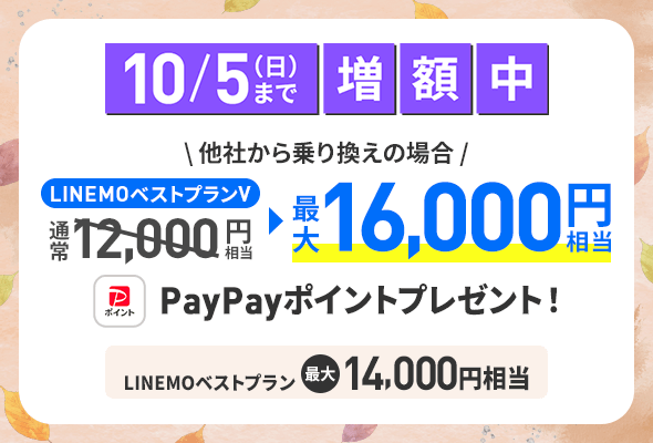 PayPayポイントプレゼントキャンペーン