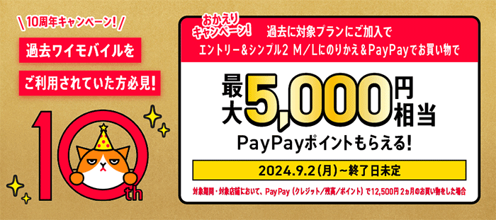 【おかえりキャンペーン！】過去にワイモバイルを利用していた人必見。最大5,000円相当のPayPayポイントがもらえる！