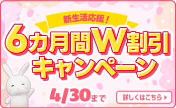 6か月割引きキャンペーン